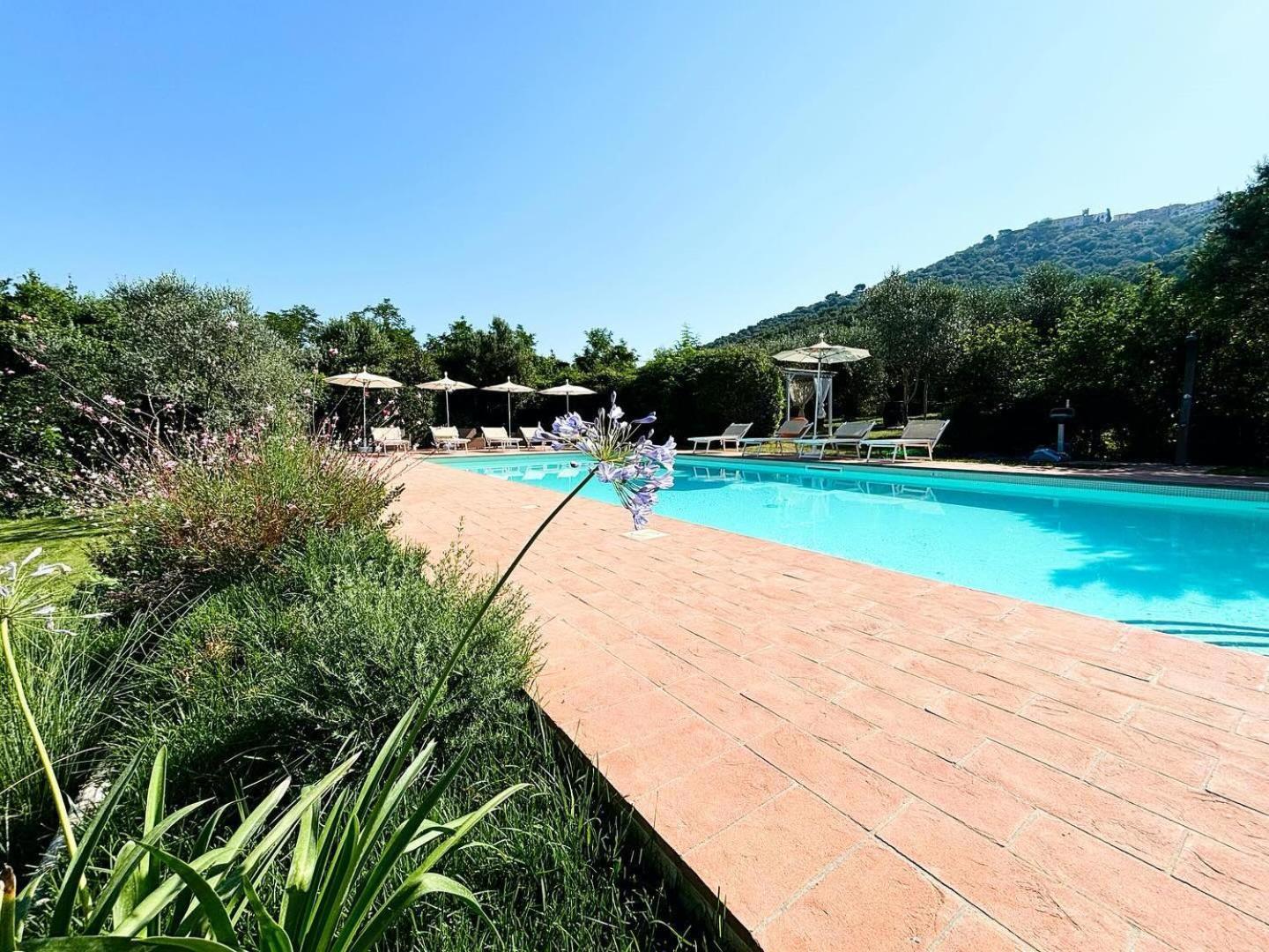 Nonna Nara Bed & Breakfast Grosseto Exterior foto